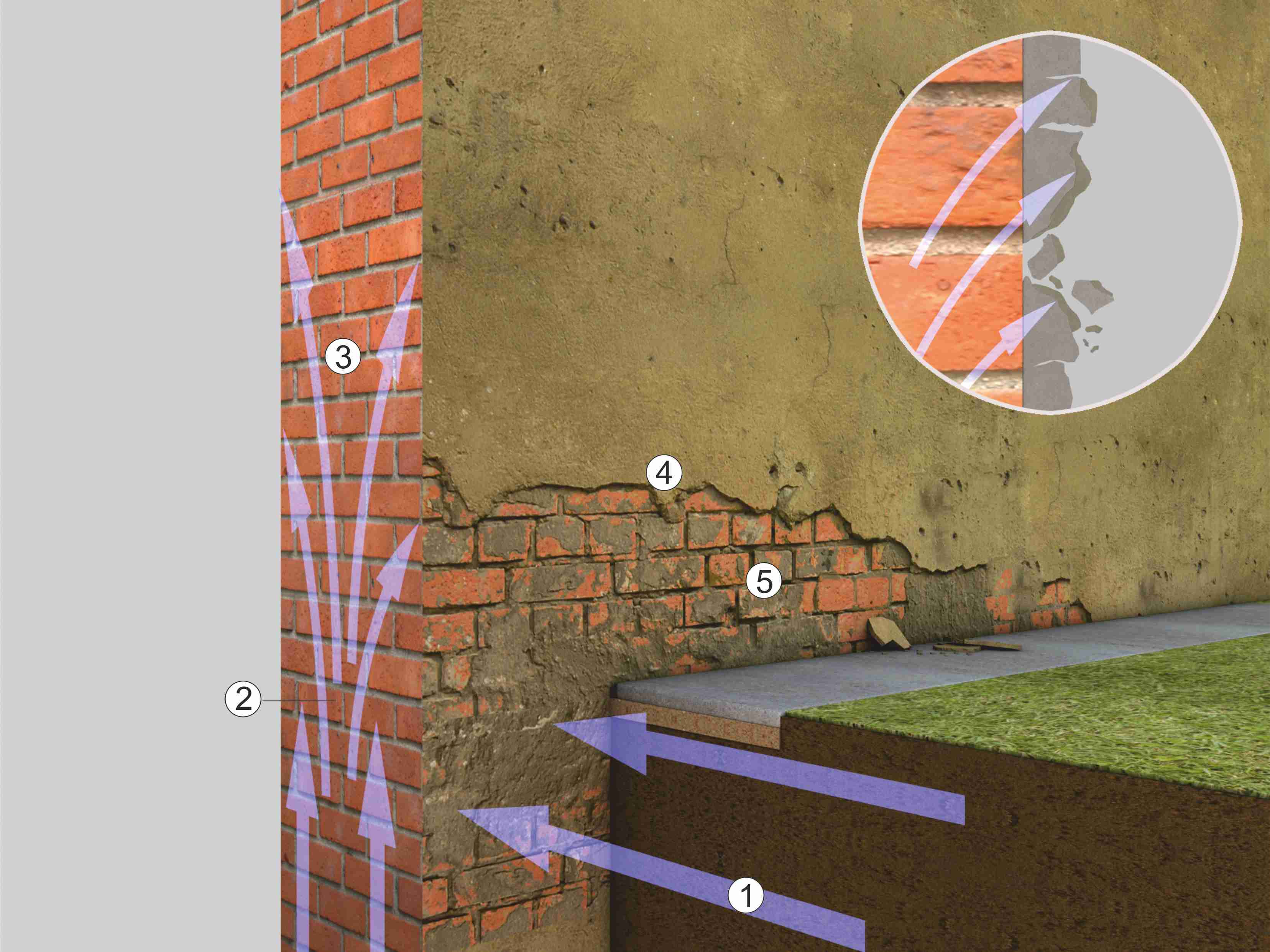 Schema Putzschäden durch Salz Schema Putzschäden durch Salz