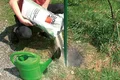 Garten- und Landschaftsbaubeton Fix wordt in het gat gegoten zonder water te mengen.